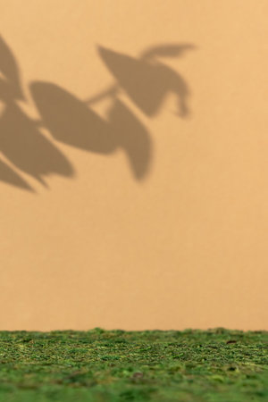 Premium empty scene on green moss on beige background with leaves shadows. Podium for product promotion, beauty, natural eco cosmetic. Showcase, display case.の写真素材