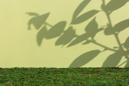 Empty scene of moss on a green background with the shadow of plant leaves. Premium podium for product promotion, beauty, natural eco-cosmetics. Showcase, display case.の写真素材