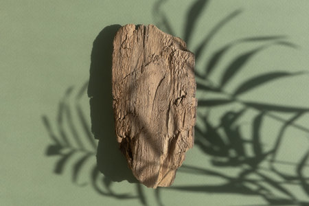 Abstract minimal tree bark scene. Natural wooden podium on a green background with a shadow of palm leaves. Concept natural cosmetics with organic components. Showcase, display case.の写真素材