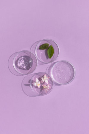 Facial serum or gel with hyaluronic acid, flower and leaves in Petri dishes on a lilac background. Concept of cosmetics laboratory researches, wellness, beauty and natural cosmetics.の写真素材