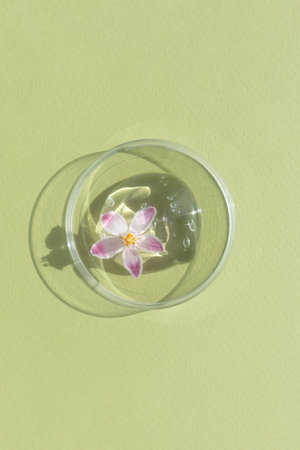 Facial serum or gel with hyaluronic acid with a pink flower in a Petri dish on a green background. Concept of cosmetics laboratory researches, wellness, beauty and natural cosmetics.の写真素材