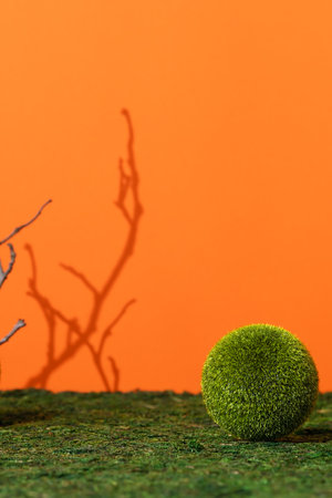 Premium empty scene with grass ball on green moss on an orange background with shadows of tree branches. Podium for product promotion, beauty, natural eco cosmetic. Show case, display case.の写真素材