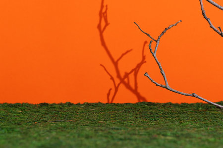 An empty scene of green moss with bare tree branches and their shadow on an orange background. Premium podium for product promotion, beauty, natural eco cosmetic. Showcase, display case.の写真素材