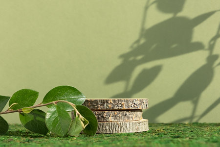 Wooden slice podium and green leaves on a green moss background. Premium scene for product promotion, beauty, natural eco cosmetic. Empty showcase, display case.の写真素材