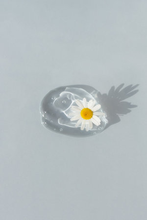 A drop of transparent cosmetic gel or serum with hyaluronic acid with a chamomile flower on a gray background. The concept of natural cosmetics. Cosmetic texture. Top view.の写真素材