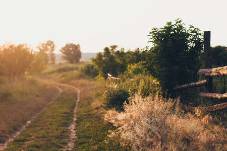 A countryside rural road with old wooden fence in sunset raysの写真素材