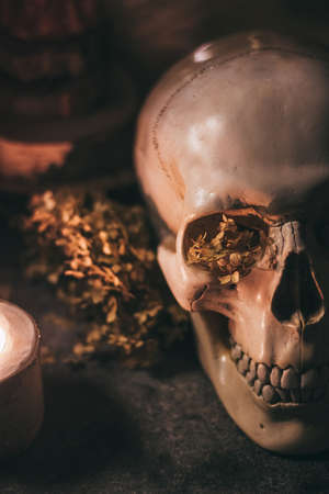 Human scull with candles and dried flowers in the darkの写真素材