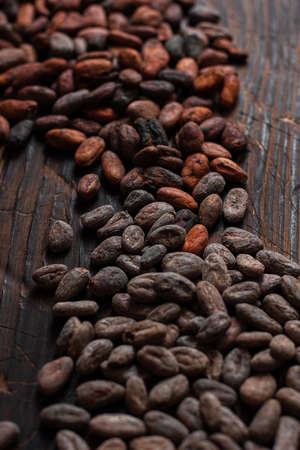 Raw cocoa beans two types Venezuela on brown background.の写真素材