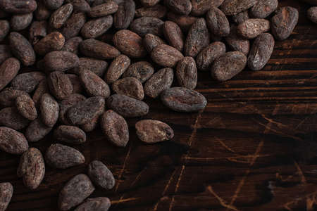 Raw cocoa beans two types Venezuela on brown background.の写真素材