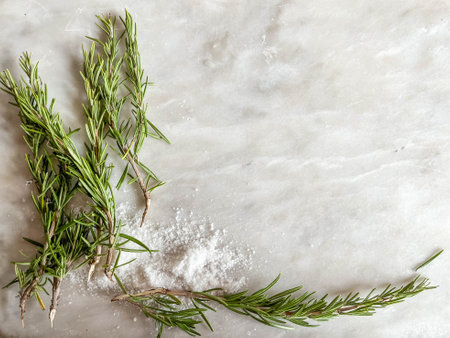 Spa kit. Rosemary oil, rosemary sprigs, salt, cosmetic oil, body brush on a marble background.の写真素材