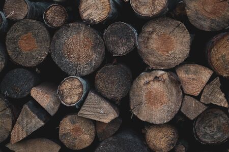 background with firewood. round tree