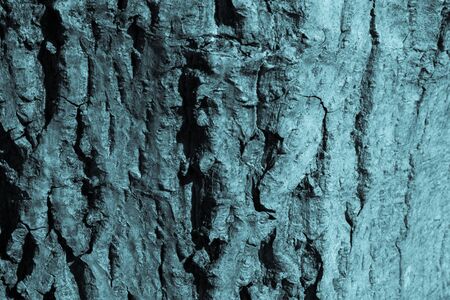 Grunge texture, abstract green and blue background.の写真素材