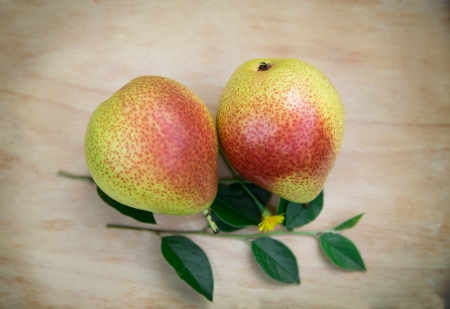 Two juicy pearsの写真素材