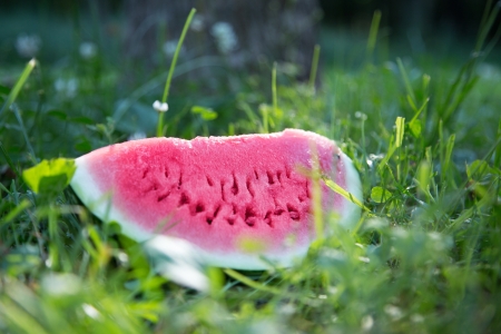Watermelon sliceの写真素材
