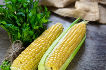 Two sweet cornsの写真素材