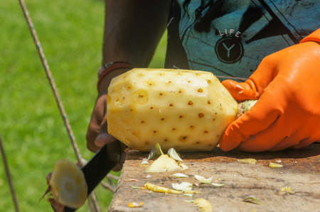 Suva, Fiji - November 18, 2015: Ananas on the market, travel photo
