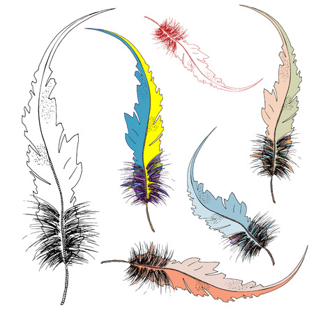 Hand illustration bird feather. Symbol of writing and learning. The old way of writing. Vector graphic design. Isolated on white background.のイラスト素材