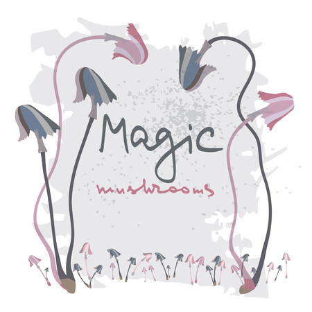 Magic mushrooms  . Flat style for web vector illustrationのイラスト素材