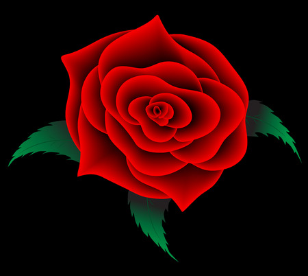 Red rose with green leaves .    Vector  design. 
 Modern illustration for background greeting cards and invitations of the  birthday, Valentine's Day, Mother's Day and weddingのイラスト素材