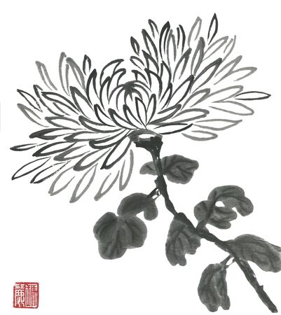 Chrysanthemum as a symbol of Japan and China. Contour flowers and leaves. Traditional oriental ink painting sumi-e, u-sin, go-hua. Stylized red print with hieroglyphs.の写真素材