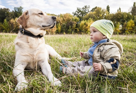 little boy with a dog in the parkの写真素材