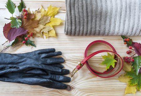 Women's accessories on wooden background with autumn leavesの写真素材