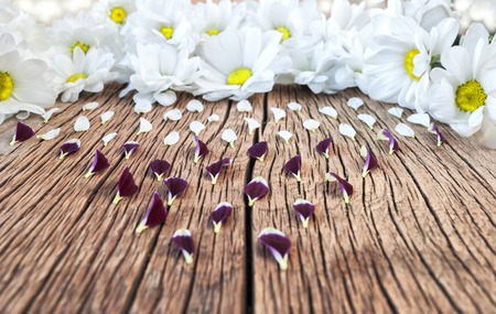 white flowers and petals on a wooden surfaceの写真素材