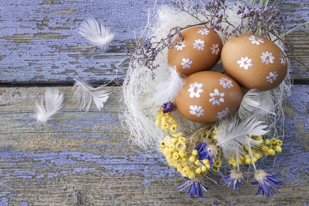 Easter eggs in the nest on wooden backgroundの写真素材