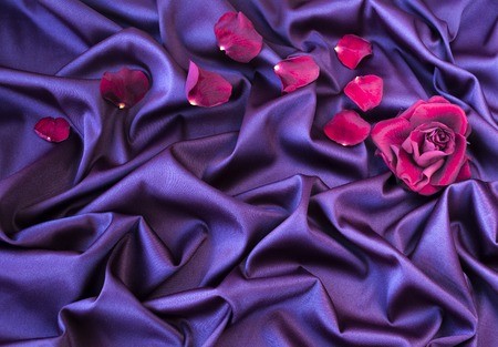 roses petal on soft silk fabricの写真素材