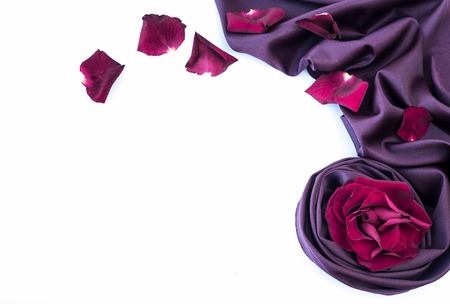 roses petal on soft violet silk fabricの写真素材