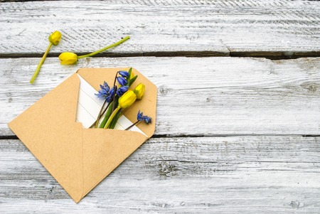 Spring flowers in an envelope on a white wooden surfaceの写真素材
