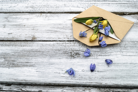 Spring flowers in an envelope on a white wooden surfaceの写真素材