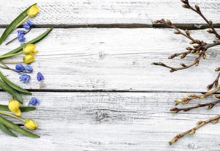 Spring flowers on a white wooden surface