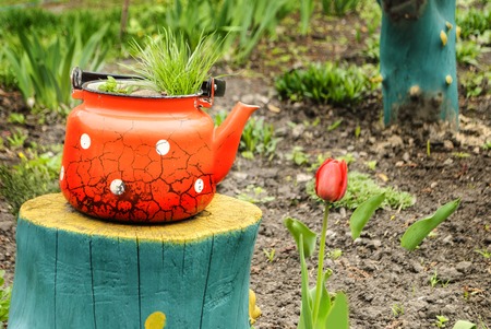 Old kettle instead of a flower potの写真素材