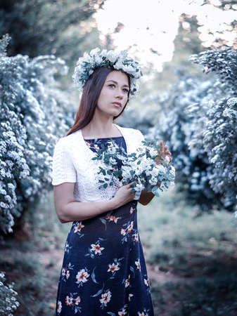 beautiful girl on the background of a flowering treeの写真素材