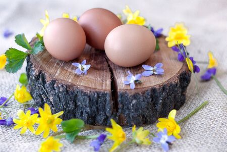 Easter eggs near flowers on wooden background, flat lay view of easter eggs