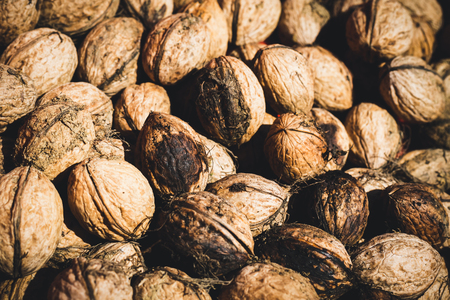 Crazy for nuts