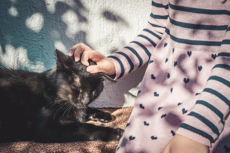 Child petting a black catの写真素材