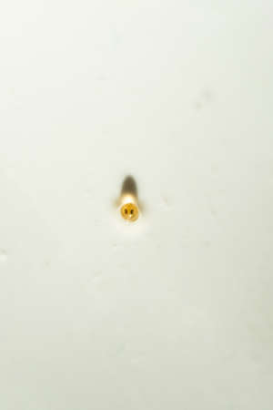 Macro photography of fresh water aquarium plants