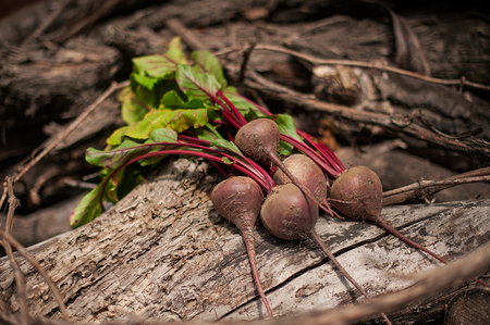 Bunch of fresh organic beetroot on wooden background. Concept of diet, raw, vegetarian meal. Farm, rustic and country styleの写真素材