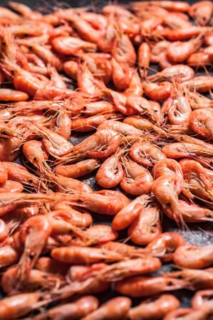 Shrimps on dark grunge backgroundの写真素材