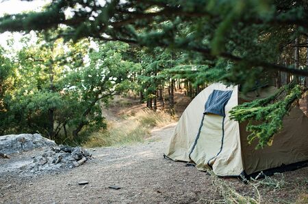 khaki tent in the forest. wild rest in the forest. camping in the forestの写真素材