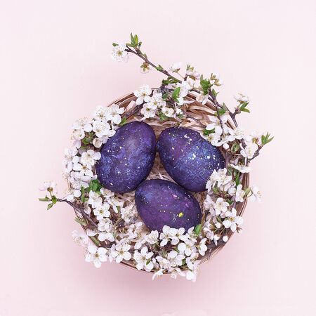 Violet easter eggs in a basket with flowers on a pink background. Square photograph. Flatley. Top...