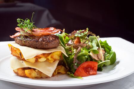 Chips with steak, bacon, cheese and vegetable salad. Dish at the restaurantの写真素材