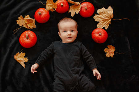 Portrait of a child with pumpkins on a black background. Soft focusの写真素材