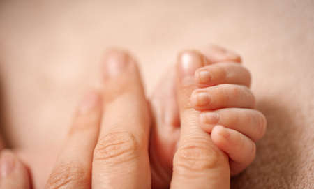 Newborns hand holding moms finger. Beige color. Soft selective focusの写真素材