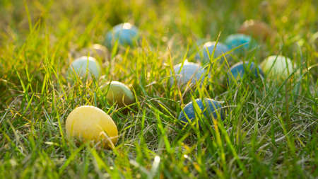 Multicolored Easter eggs on a green lawn in the garden