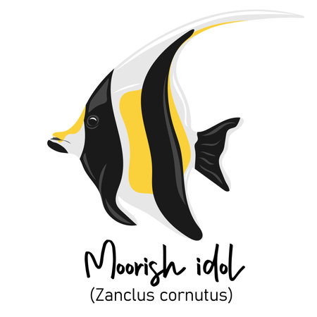 Moorish idol or Zanclus cornutus. Marine dweller with colorful body and fins for swimming. Concept of sea and ocean life. vector illustrationのイラスト素材