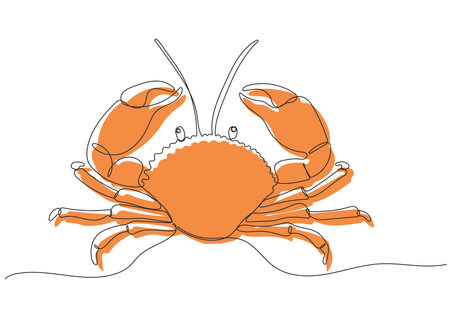 Continuous one line drawing of Crab. marine dweller. Concept of sea and ocean life. hand drawn line art. vector illustrationのイラスト素材