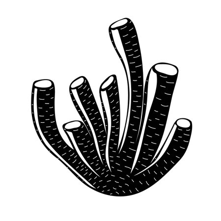 Silhouette of coral or seaweed. botanical illustration. Underwater flora, sea plant. Concept of sea and ocean life. vector illustrationのイラスト素材